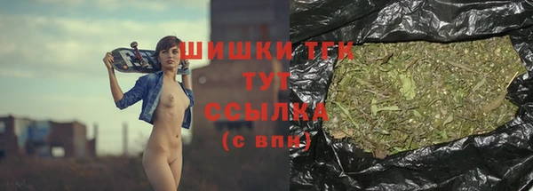 герыч Мегион