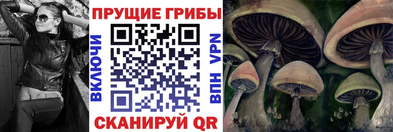 даркнет сайт  OMG рабочий сайт  Псилоцибиновые грибы Psilocybine cubensis  Обнинск 